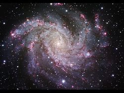ʤФ˾Ȥ館NGC 6946β
