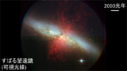 M82ϤȤζβ