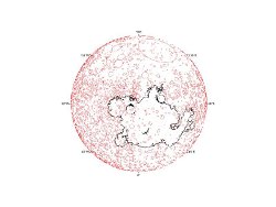 北極側から見た水星のクレーター分布