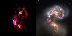アルマ望遠鏡（左）とハッブル宇宙望遠鏡（右）でとらえたアンテナ銀河