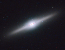 ESO 243-49βս꤬XȤʤäƤ֥åۡHLX-1