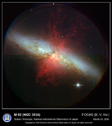Ф˾Ȥ館M82