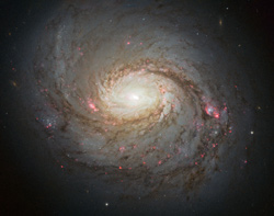 M77