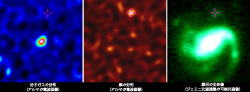 GRB 020819B母銀河の塵と分子ガスの分布