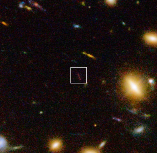 ϡA1689-zD1פֳȲĻ¬ˤǡ