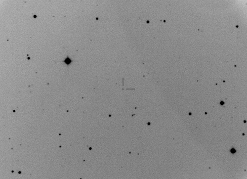2014ǯ11ƤΥ