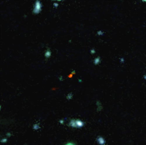 BDF 3299