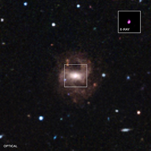 ϡRGG 118ס˲ĻʱX
