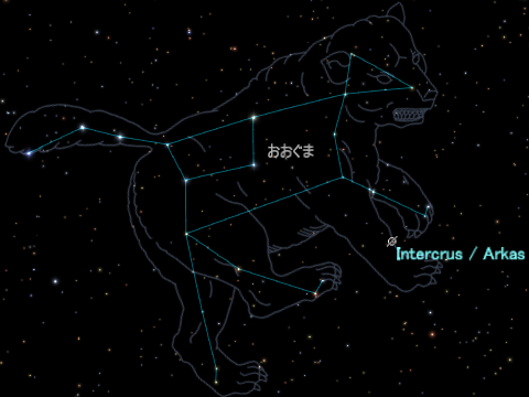 Intercrusΰ