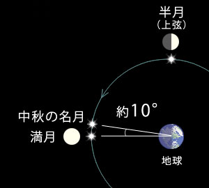 ϵ夫鸫̾ΰ