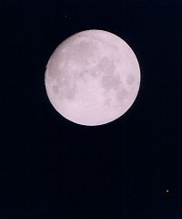 （高木智子氏撮影の月と火星の写真）