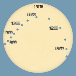 太陽面と、金星の30分ごとの位置を表した図。天頂が上。