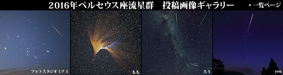 2016年ペルセウス座流星群 投稿画像ギャラリー
