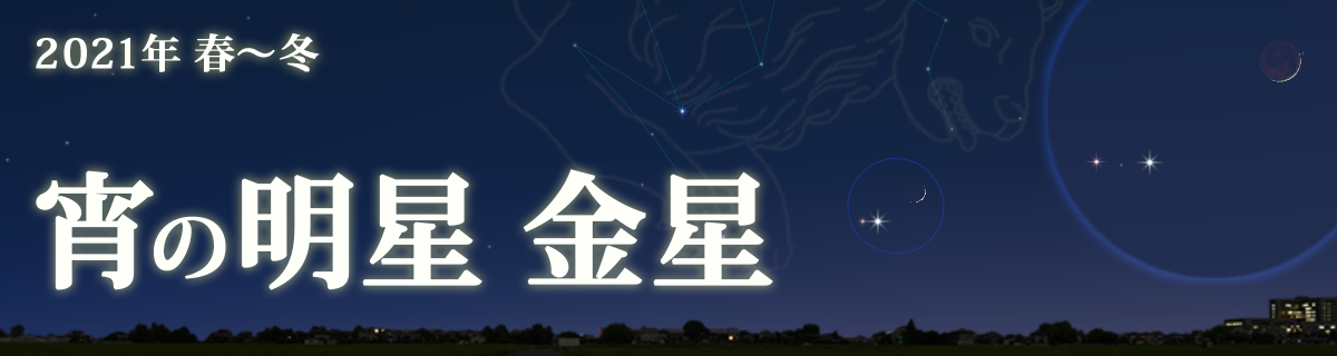 【特集】宵の明星 金星（2021年 春～冬）