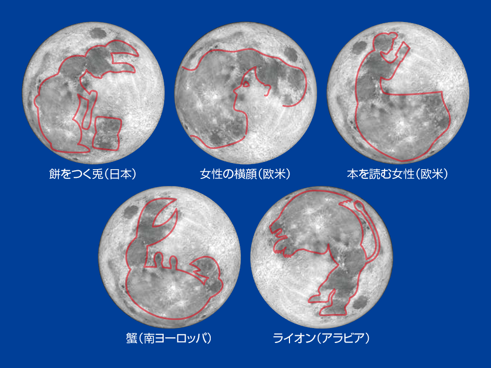 月の模様の見立て