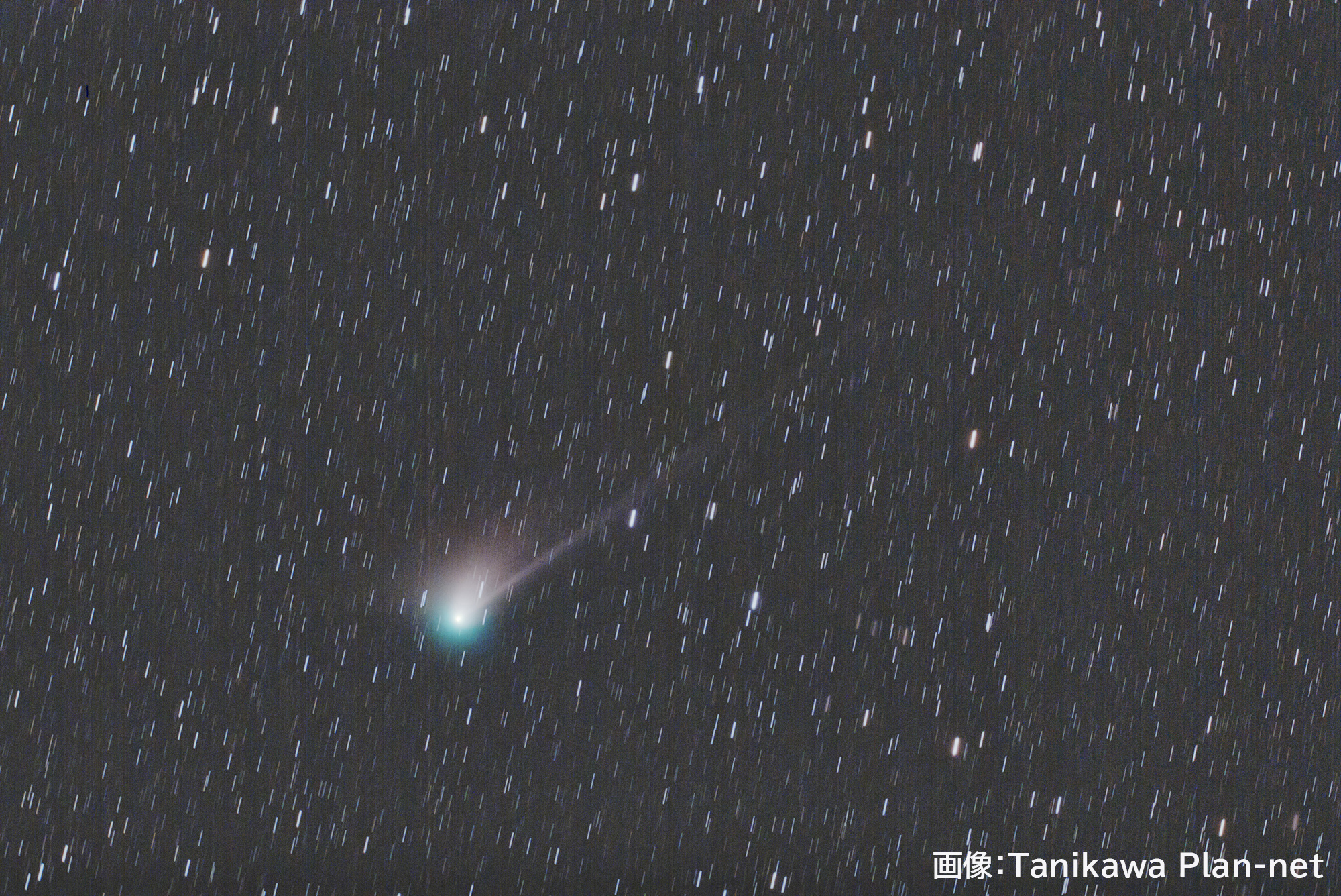 ズィーティーエフ彗星