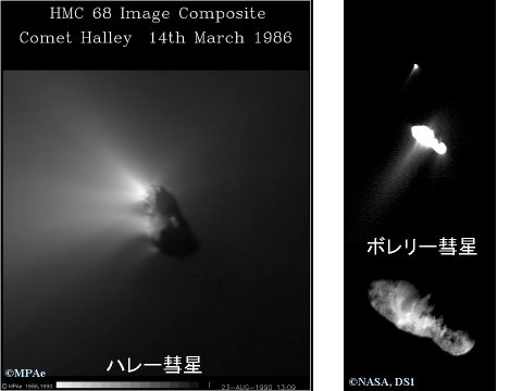 ハレー彗星とボレリー彗星の核